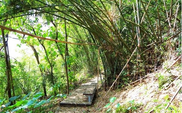 照片：「肉魯」BLOG