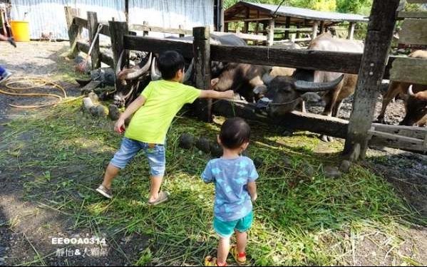 照片：「小靜怡」BLOG