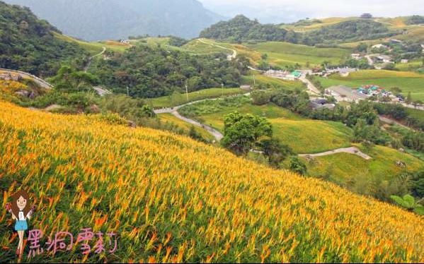 照片：「黑洞雪莉」BLOG