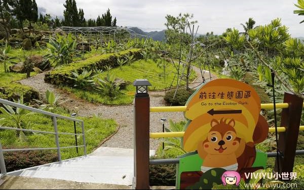 照片：「VIVIYU」BLOG