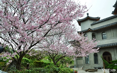 照片：「奇緣」BLOG