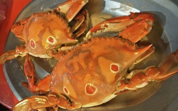 照片：「小茉」BLOG