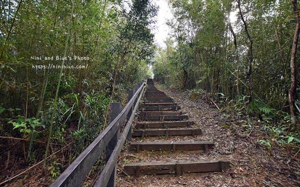 照片：「Nini and Blue」BLOG