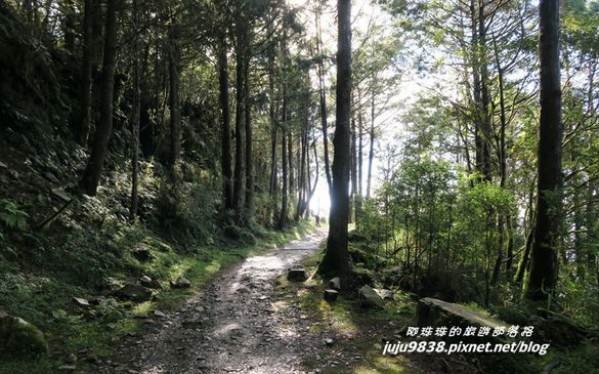 照片：「阿珠珠」BLOG