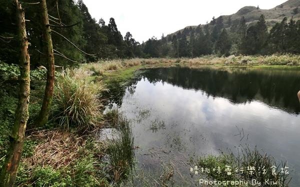 照片：「Kiwi」BLOG