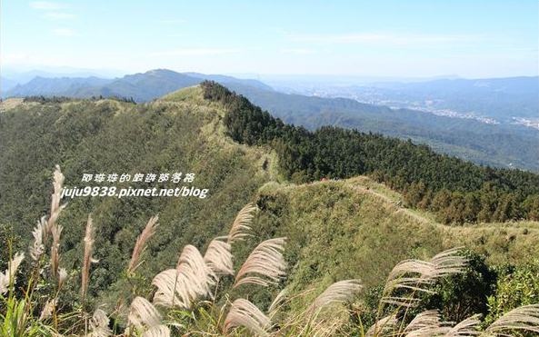 照片：「阿珠珠」BLOG