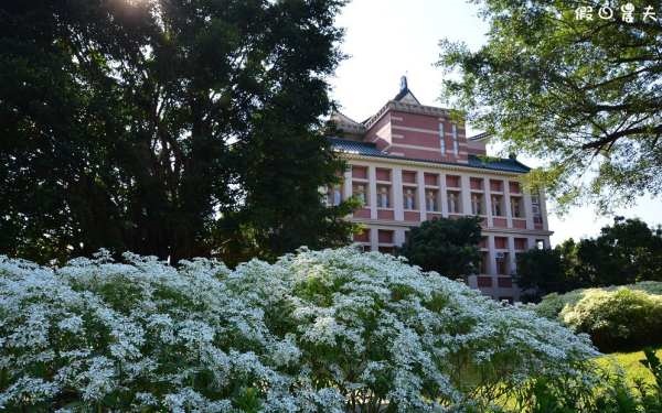 照片：「假日農夫」BLOG