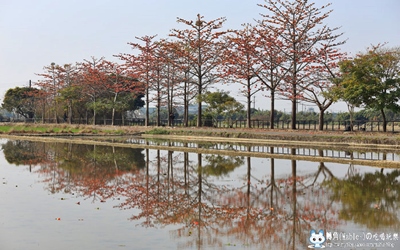 照片：「轉角」BLOG