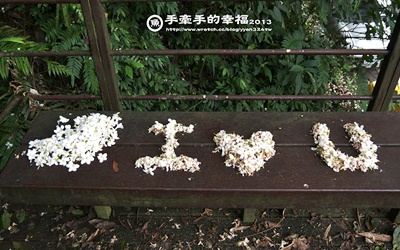 照片：「Yvonne」BLOG