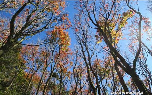 照片：「阿珠珠」BLOG