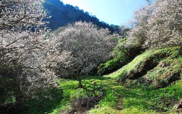 照片：「TAO」BLOG