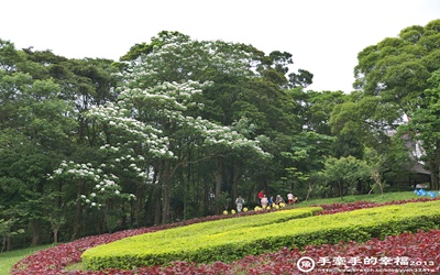 照片：「Yvonne」BLOG