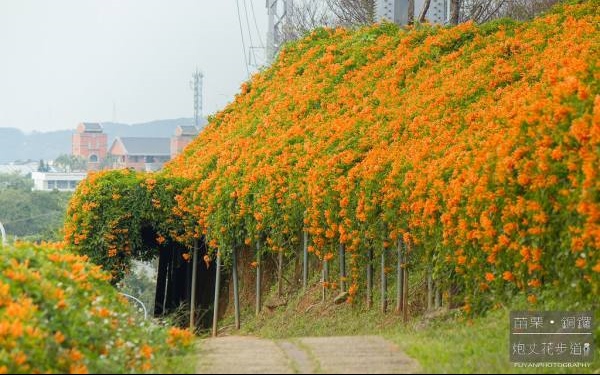 照片：「富嵃」BLOG