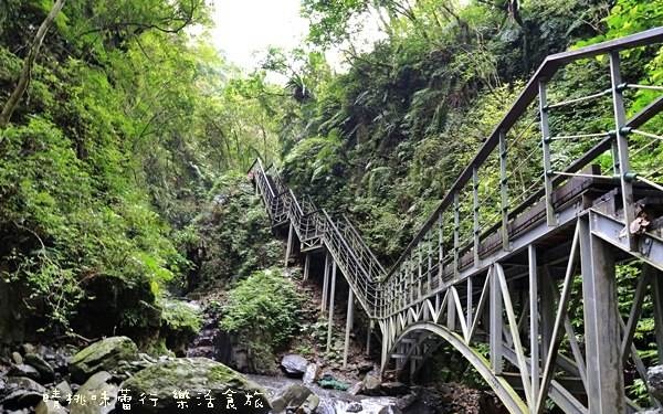 照片：「Kiwi」BLOG
