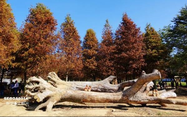 照片：「小靜怡」BLOG