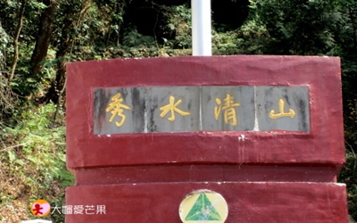 照片：「大嬸愛芒果」BLOG
