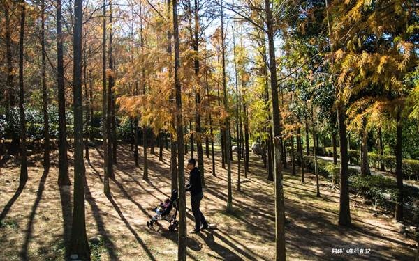 照片：「阿婷」BLOG