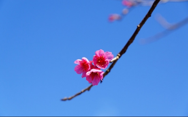 照片：「Leo」BLOG