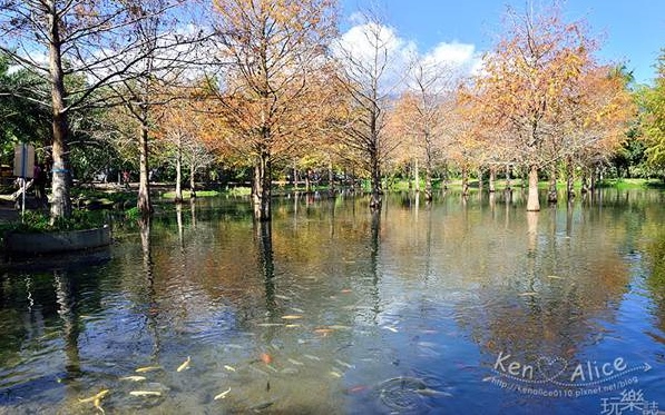 照片：「KenAlice0110」BLOG