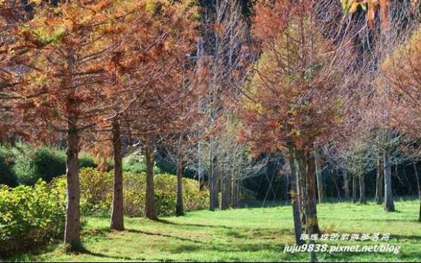 照片：「阿珠珠」BLOG