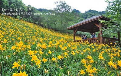 照片：「玟玟」BLOG