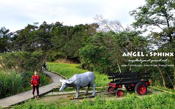 照片：「安小揪(Angel)」BLOG