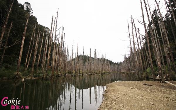 照片：「陳姿穎」BLOG