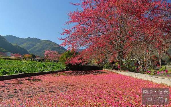 照片：「富嵃」BLOG