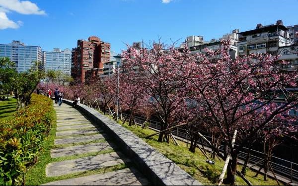 照片：「小沁」BLOG