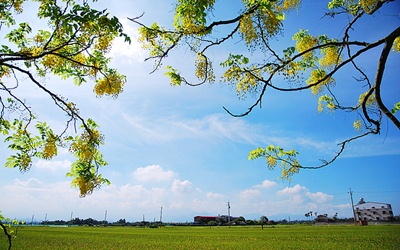 照片：「TAO」BLOG