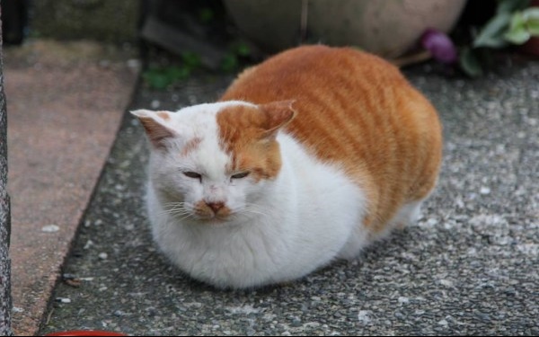 照片：「流動瓶子」BLOG