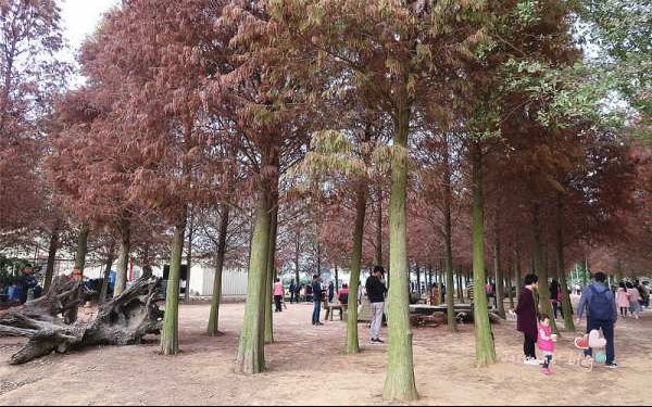 照片：「Jasmine綺綺」BLOG