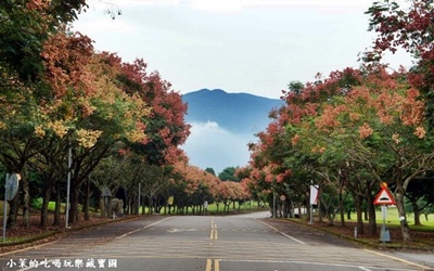 照片：「小茉」BLOG