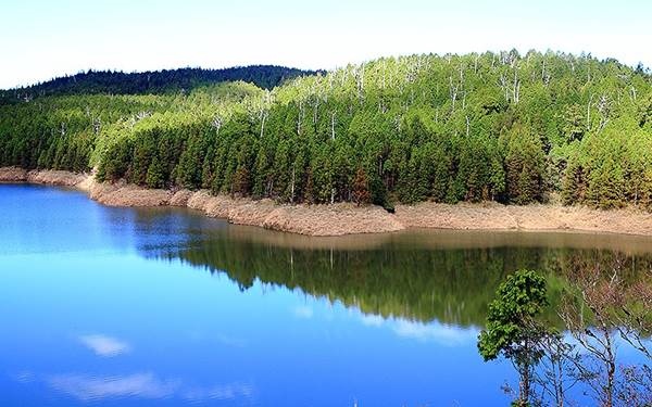 照片：「向上的微笑 萍子」BLOG