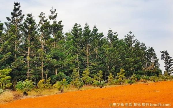 照片：「許小布」BLOG
