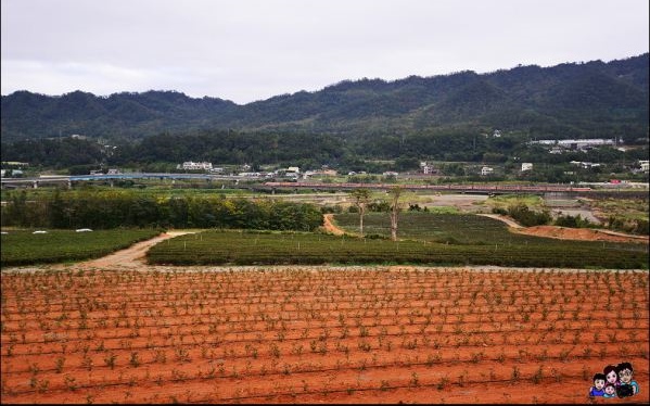 照片：「bobowin」BLOG