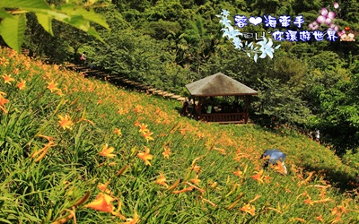 照片：「蓉蓉」BLOG