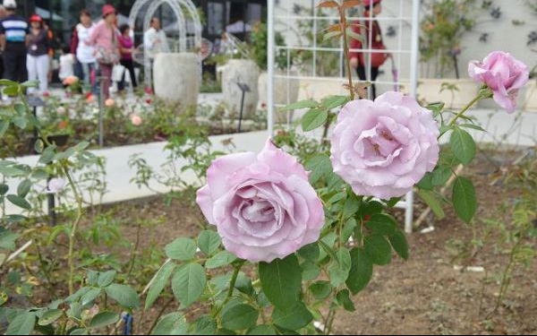照片：「寶小銘」BLOG