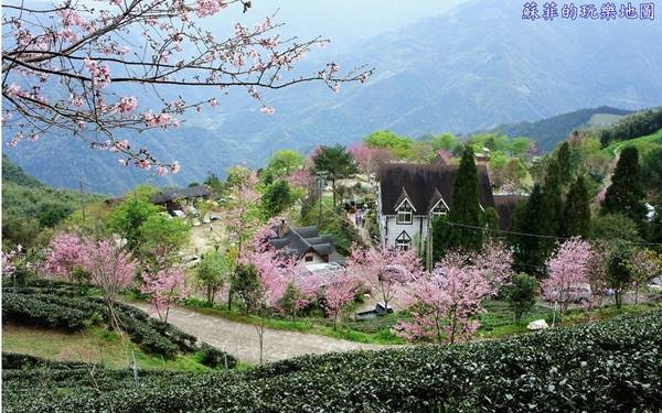 照片：「蘇菲」BLOG