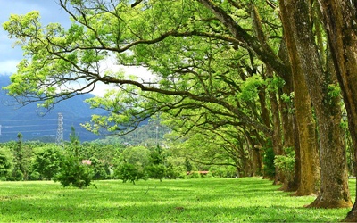 照片：「富嵃」BLOG