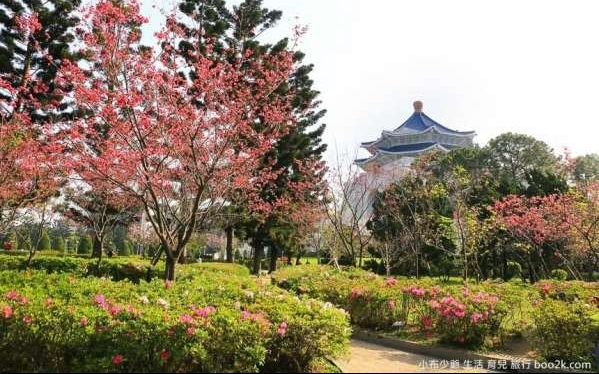 照片：「許小布」BLOG