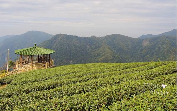 照片：「薇樂莉愛旅行」BLOG