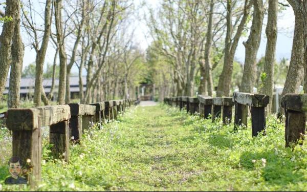 照片：「小虫」BLOG