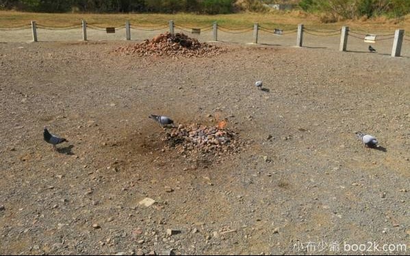 照片：「許小布」BLOG