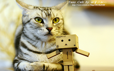 照片：「Cat-Lin」BLOG