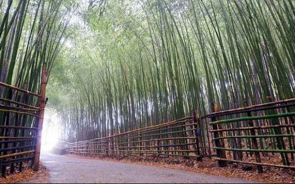 照片：「壞波妞」BLOG