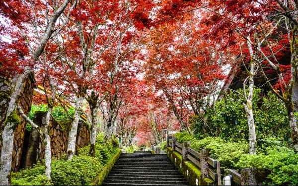 照片：「小虫」BLOG