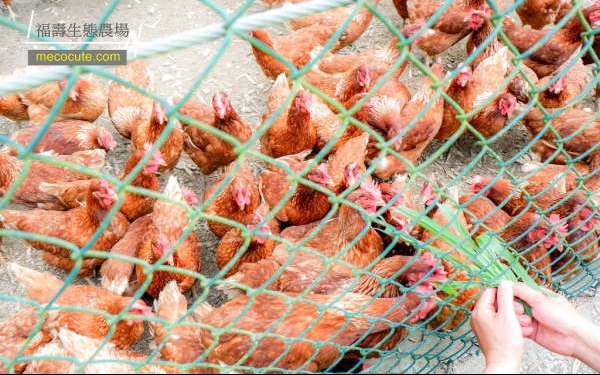 照片：「陳小可」BLOG