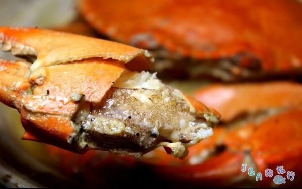 照片：「果凍魚」BLOG