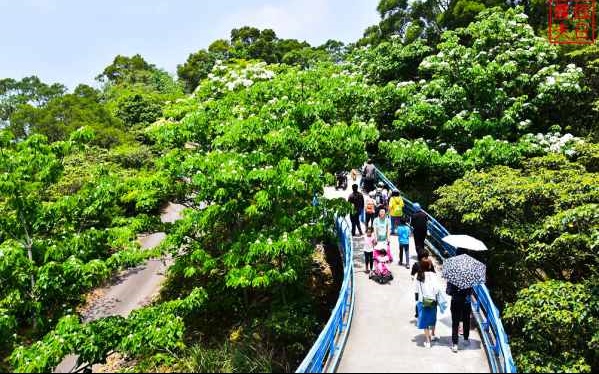 照片：「假日農夫」BLOG